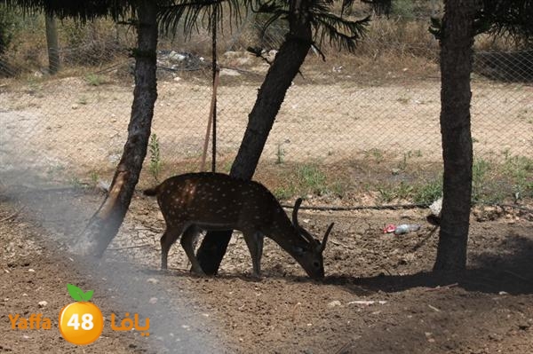 re7la mo2asaasa 0521 (34).JPG